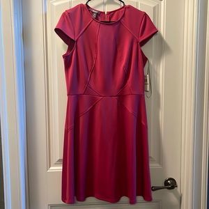 NWT cap sleeve dress with zip up back